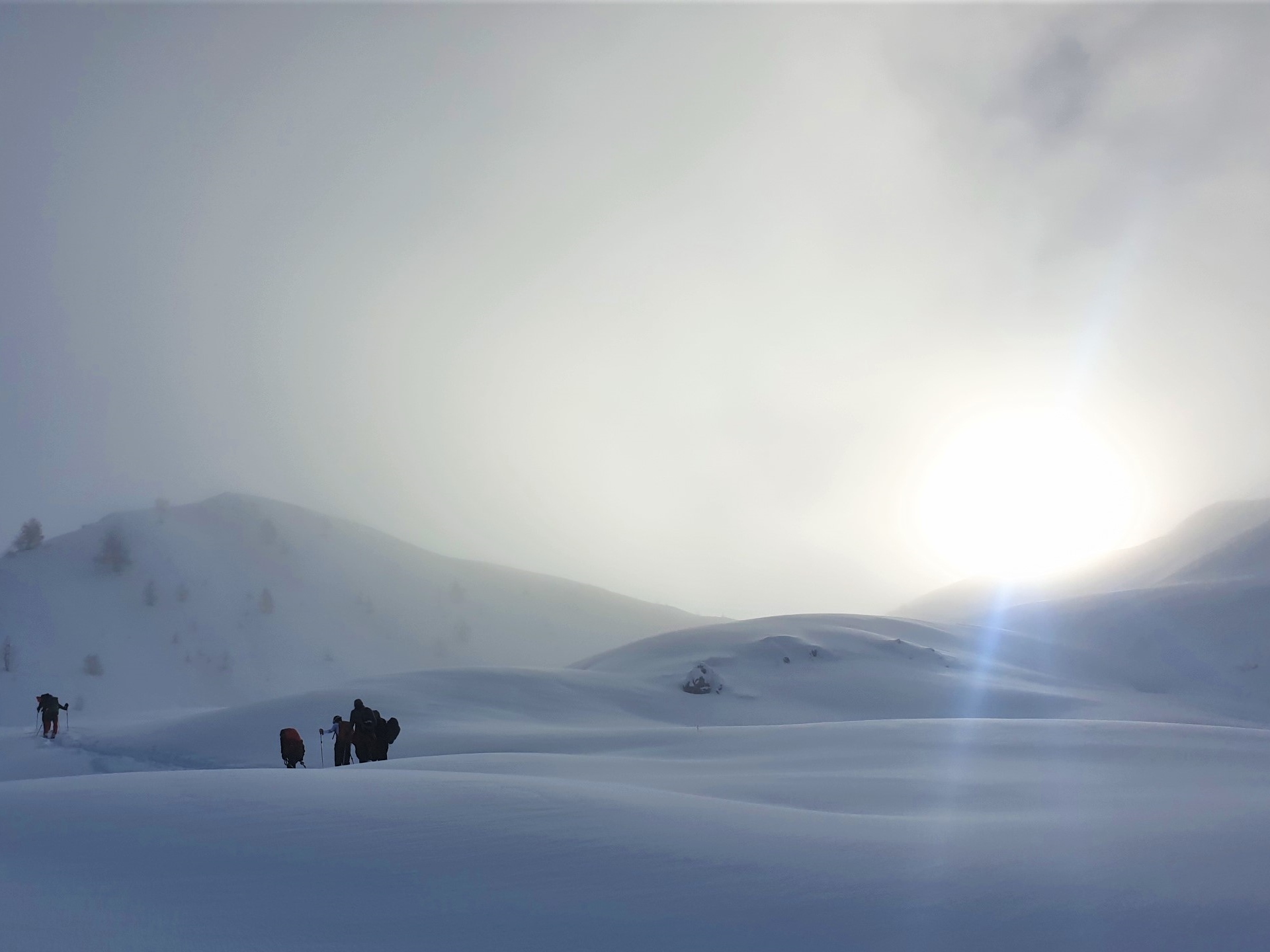 Blancs Ecrins à Freissinières -6463d52380b5a: /